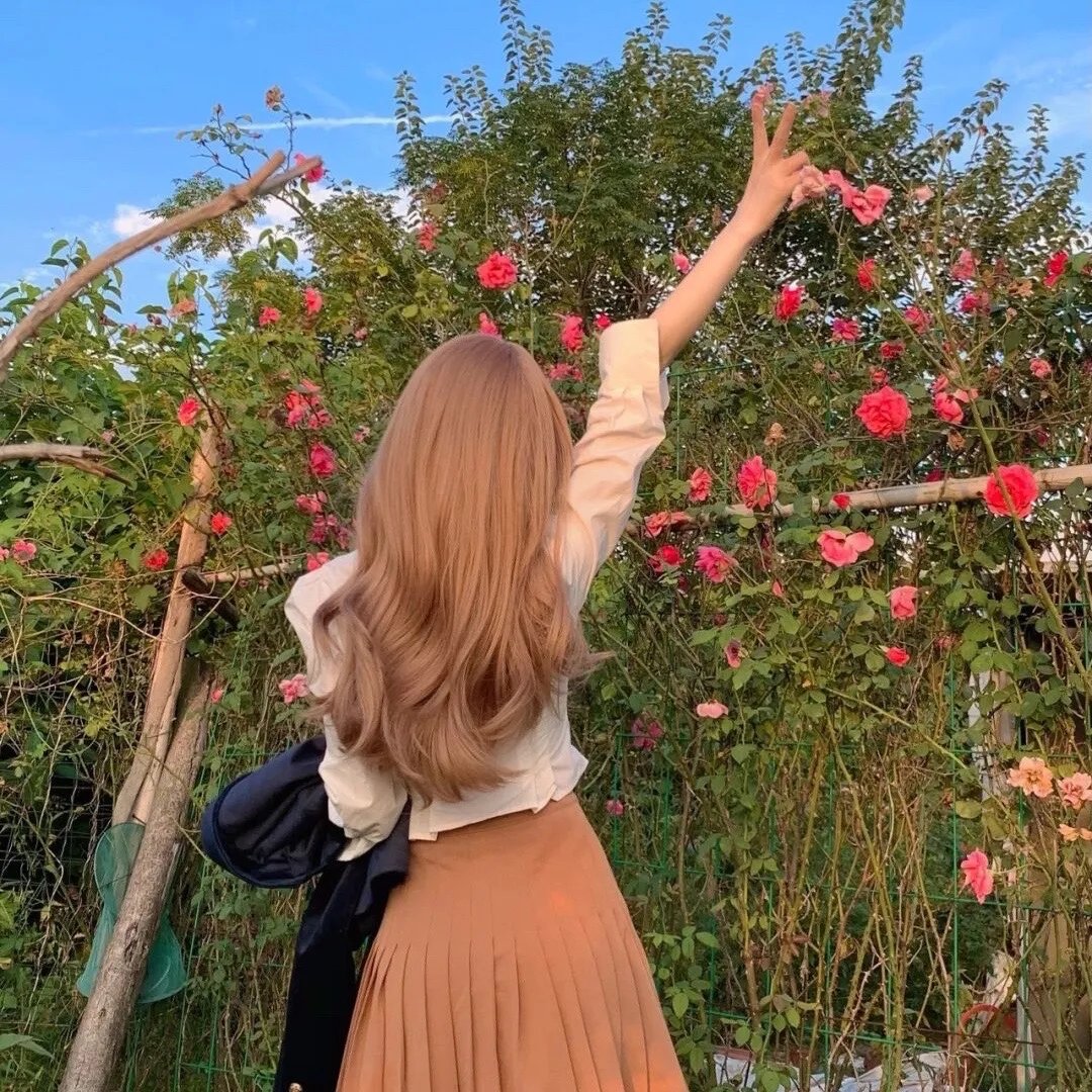 高分少女第二季