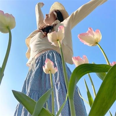 黛玉传