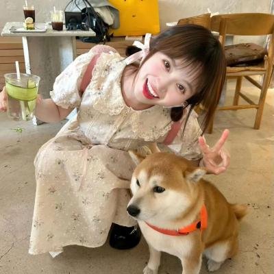 天使爱美丽国语